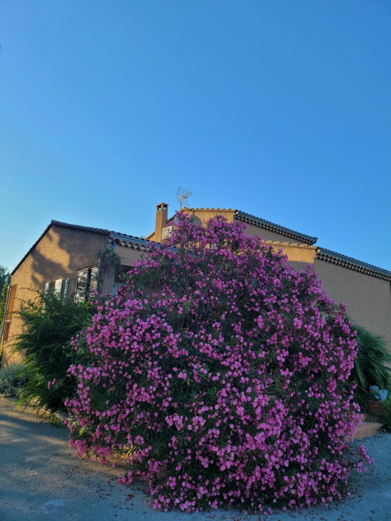 Family First Villa Gargas  Exterior foto